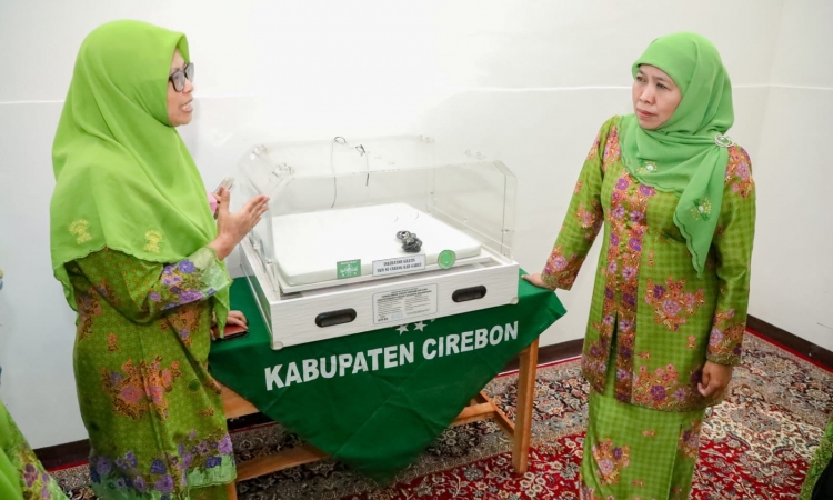 lintaspolitik